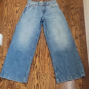 Pac Sun Sloane Low Rise Baggy, Wide Leg Jeans